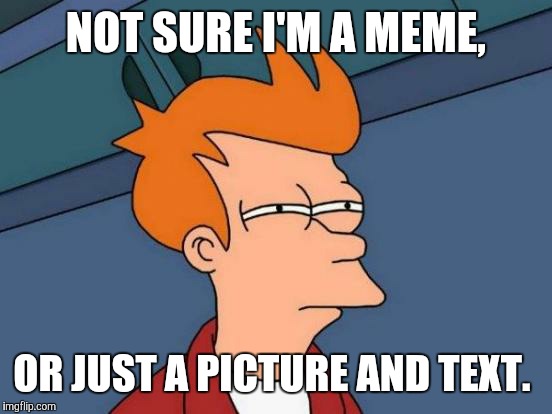 Futurama Fry | NOT SURE I'M A MEME, OR JUST A PICTURE AND TEXT. | image tagged in memes,futurama fry | made w/ Imgflip meme maker