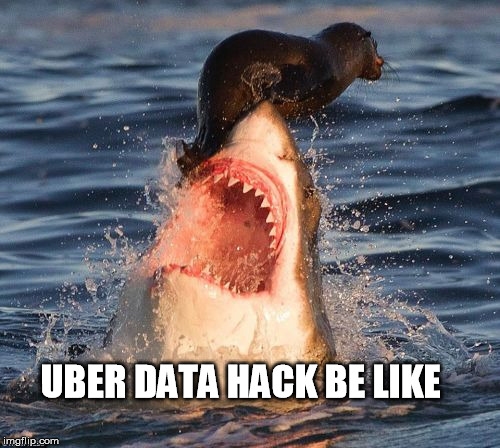 Travelonshark | UBER DATA HACK BE LIKE | image tagged in memes,travelonshark | made w/ Imgflip meme maker