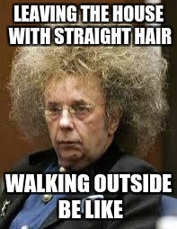 Frizzy hair | LEAVING THE HOUSE WITH STRAIGHT HAIR; WALKING OUTSIDE BE LIKE | image tagged in frizzy hair | made w/ Imgflip meme maker