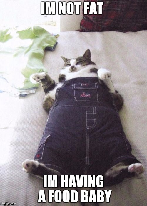 Fat Cat |  IM NOT FAT; IM HAVING A FOOD BABY | image tagged in memes,fat cat,food | made w/ Imgflip meme maker