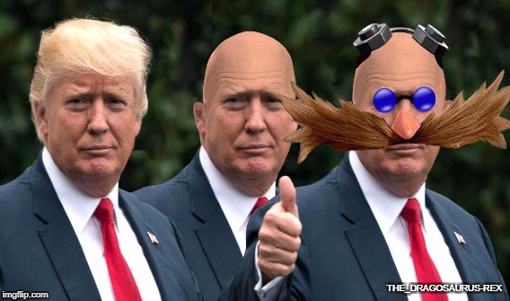 Your Welcome | THE_DRAGOSAURUS-REX | image tagged in donald trump,robotnik | made w/ Imgflip meme maker