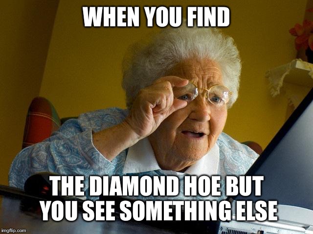 Grandma Finds The Internet Meme | WHEN YOU FIND; THE DIAMOND HOE BUT YOU SEE SOMETHING ELSE | image tagged in memes,grandma finds the internet | made w/ Imgflip meme maker