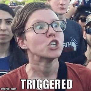 triggered | image tagged in triggered | made w/ Imgflip meme maker