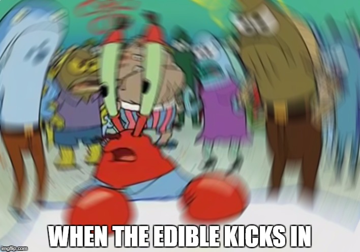 crab crazy | WHEN THE EDIBLE KICKS IN | image tagged in memes,mr krabs blur meme | made w/ Imgflip meme maker