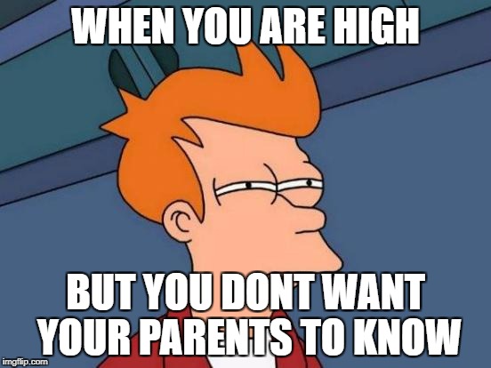Futurama Fry | WHEN YOU ARE HIGH; BUT YOU DONT WANT YOUR PARENTS TO KNOW | image tagged in memes,futurama fry | made w/ Imgflip meme maker