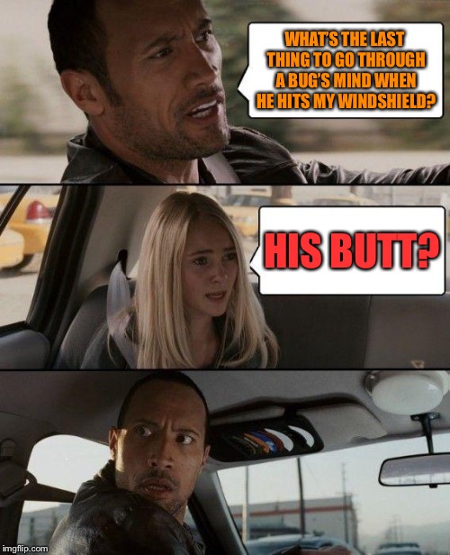 it’s true | WHAT’S THE LAST THING TO GO THROUGH A BUG’S MIND WHEN HE HITS MY WINDSHIELD? HIS BUTT? | image tagged in the rock driving,dead,bug,bugs,driving,car meme | made w/ Imgflip meme maker