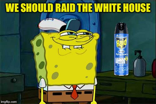 Don't You Squidward Meme | WE SHOULD RAID THE WHITE HOUSE | image tagged in memes,dont you squidward | made w/ Imgflip meme maker