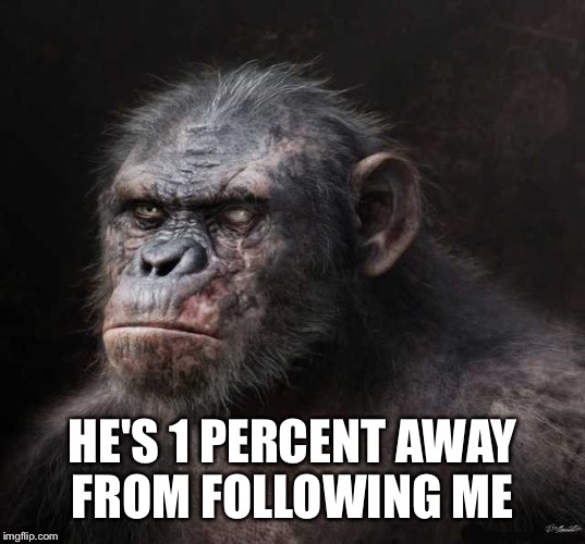 HE'S 1 PERCENT AWAY FROM FOLLOWING ME | made w/ Imgflip meme maker