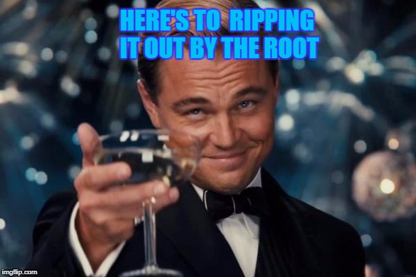 Leonardo Dicaprio Cheers Meme | HERE'S TO  RIPPING IT OUT BY THE ROOT | image tagged in memes,leonardo dicaprio cheers | made w/ Imgflip meme maker