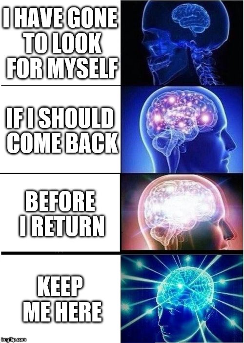 Expanding Brain | I HAVE GONE TO LOOK FOR MYSELF; IF I SHOULD COME BACK; BEFORE I RETURN; KEEP ME HERE | image tagged in memes,expanding brain | made w/ Imgflip meme maker