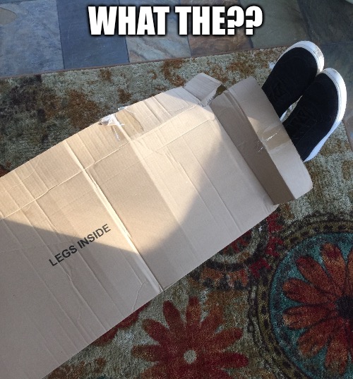 Package for meme | WHAT THE?? | image tagged in funny,memes | made w/ Imgflip meme maker