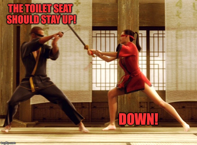 THE TOILET SEAT SHOULD STAY UP! DOWN! | made w/ Imgflip meme maker