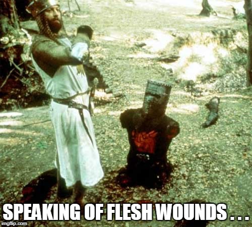 SPEAKING OF FLESH WOUNDS . . . | made w/ Imgflip meme maker