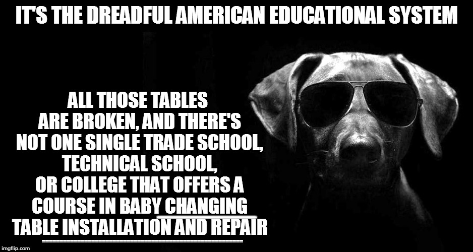 IT'S THE DREADFUL AMERICAN EDUCATIONAL SYSTEM ALL THOSE TABLES ARE BROKEN, AND THERE'S NOT ONE SINGLE TRADE SCHOOL, TECHNICAL SCHOOL, OR COL | made w/ Imgflip meme maker