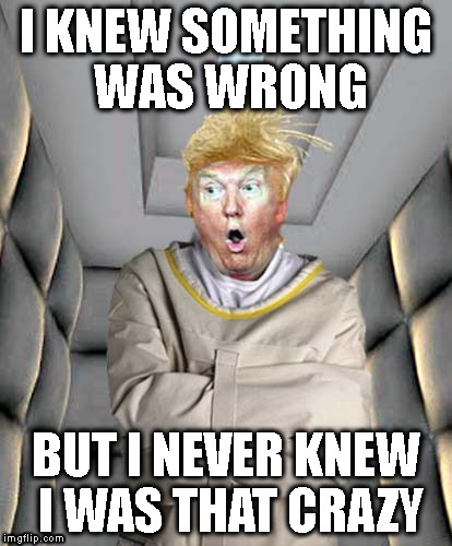 Straight Jacket Trump | I KNEW SOMETHING WAS WRONG; BUT I NEVER KNEW I WAS THAT CRAZY | image tagged in straight jacket trump | made w/ Imgflip meme maker