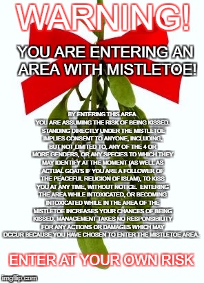 Ah, the halcyon days of living with democrats | WARNING! YOU ARE ENTERING AN AREA WITH MISTLETOE! BY ENTERING THIS AREA YOU ARE ASSUMING THE RISK OF BEING KISSED.  STANDING DIRECTLY UNDER THE MISTLETOE IMPLIES CONSENT TO ANYONE, INCLUDING, BUT NOT LIMITED TO, ANY OF THE 4 OR MORE GENDERS, OR ANY SPECIES TO WHICH THEY MAY IDENTIFY AT THE MOMENT (AS WELL AS ACTUAL GOATS IF YOU ARE A FOLLOWER OF THE PEACEFUL RELIGION OF ISLAM), TO KISS YOU AT ANY TIME, WITHOUT NOTICE.  ENTERING THE AREA WHILE INTOXICATED, OR BECOMING INTOXICATED WHILE IN THE AREA OF THE MISTLETOE INCREASES YOUR CHANCES OF BEING KISSED. MANAGEMENT TAKES NO RESPONSIBILITY FOR ANY ACTIONS OR DAMAGES WHICH MAY OCCUR BECAUSE YOU HAVE CHOSEN TO ENTER THE MISTLETOE AREA. ENTER AT YOUR OWN RISK | image tagged in mistletoe,political correctness | made w/ Imgflip meme maker