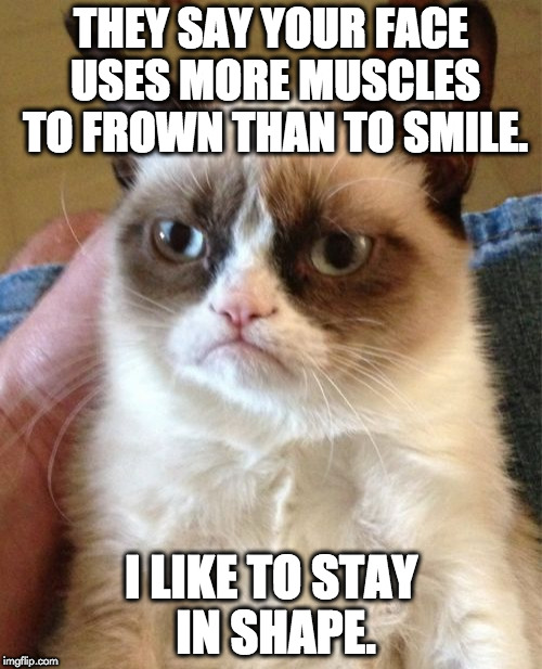 Grumpy Cat | THEY SAY YOUR FACE USES MORE MUSCLES TO FROWN THAN TO SMILE. I LIKE TO STAY IN SHAPE. | image tagged in memes,grumpy cat | made w/ Imgflip meme maker