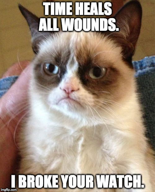 Grumpy Cat | TIME HEALS ALL WOUNDS. I BROKE YOUR WATCH. | image tagged in memes,grumpy cat | made w/ Imgflip meme maker