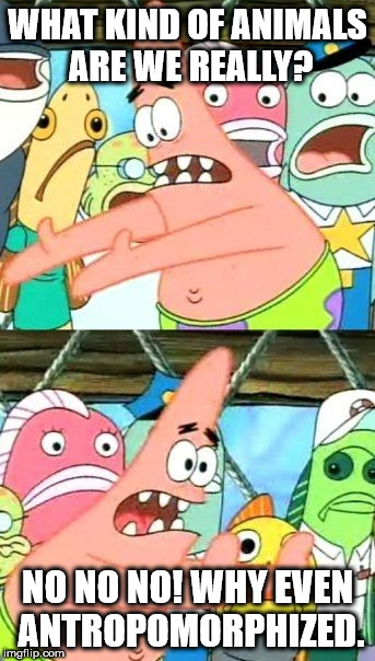 Put It Somewhere Else Patrick Meme | WHAT KIND OF ANIMALS ARE WE REALLY? NO NO NO! WHY EVEN ANTROPOMORPHIZED. | image tagged in memes,put it somewhere else patrick | made w/ Imgflip meme maker