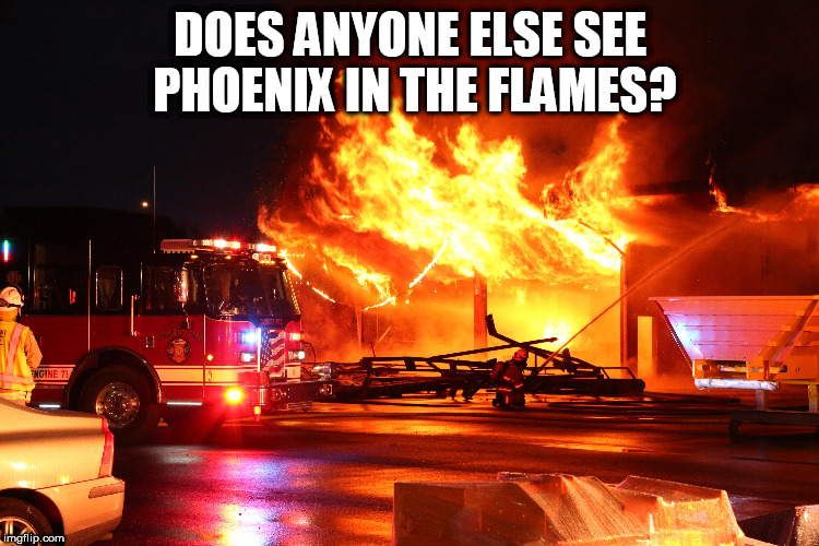 Phoenix spotted in Oregon | DOES ANYONE ELSE SEE PHOENIX IN THE FLAMES? | image tagged in phoenix fire | made w/ Imgflip meme maker