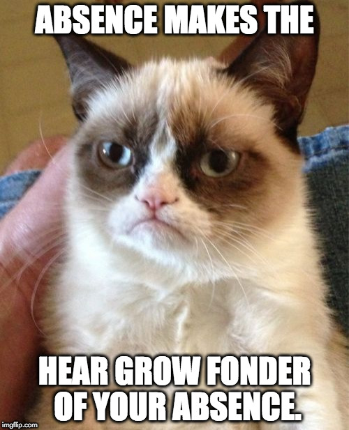 Grumpy Cat Meme | ABSENCE MAKES THE; HEAR GROW FONDER OF YOUR ABSENCE. | image tagged in memes,grumpy cat | made w/ Imgflip meme maker