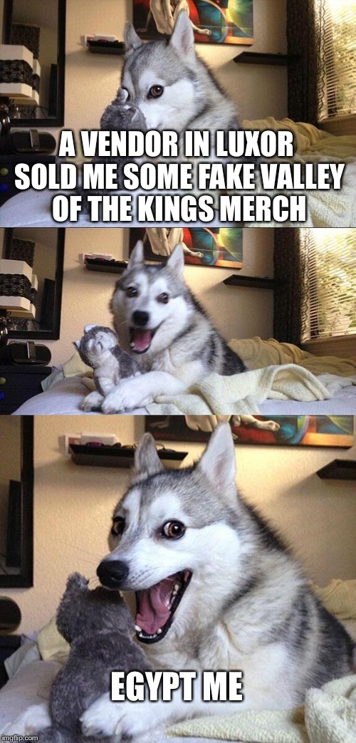 Bad Pun Dog Meme | A VENDOR IN LUXOR SOLD ME SOME FAKE VALLEY OF THE KINGS MERCH; EGYPT ME | image tagged in memes,bad pun dog,wait for it,long build up,to a weak pun | made w/ Imgflip meme maker