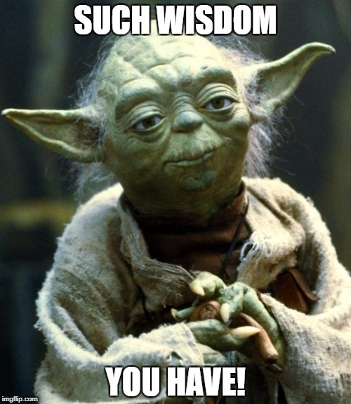 Star Wars Yoda Meme | SUCH WISDOM YOU HAVE! | image tagged in memes,star wars yoda | made w/ Imgflip meme maker