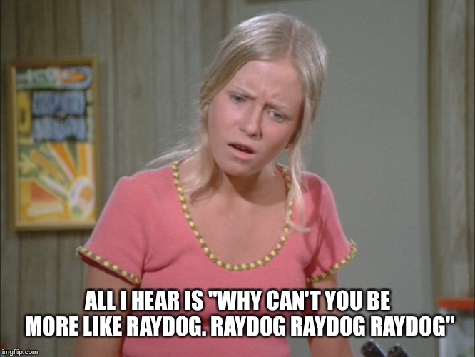 In my house  | ALL I HEAR IS "WHY CAN'T YOU BE MORE LIKE RAYDOG. RAYDOG RAYDOG RAYDOG" | image tagged in imgflip users,raydog | made w/ Imgflip meme maker