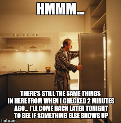 Fridge | HMMM... THERE'S STILL THE SAME THINGS IN HERE FROM WHEN I CHECKED 2 MINUTES AGO... I'LL COME BACK LATER TONIGHT TO SEE IF SOMETHING ELSE SHOWS UP | image tagged in fridge | made w/ Imgflip meme maker