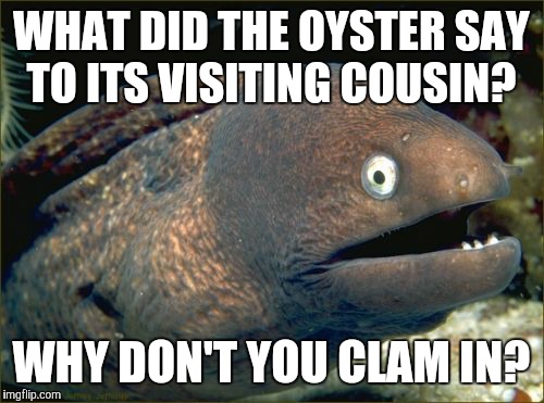 Bad Joke Eel Meme | WHAT DID THE OYSTER SAY TO ITS VISITING COUSIN? WHY DON'T YOU CLAM IN? | image tagged in memes,bad joke eel | made w/ Imgflip meme maker