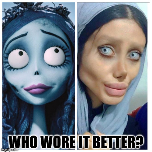 Who Wore It Better? | WHO WORE IT BETTER? | image tagged in plastic surgery | made w/ Imgflip meme maker