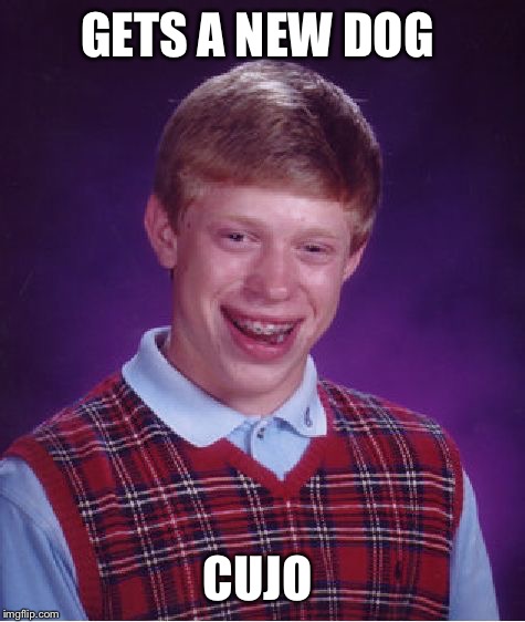 Bad Luck Brian Meme | GETS A NEW DOG; CUJO | image tagged in memes,bad luck brian | made w/ Imgflip meme maker