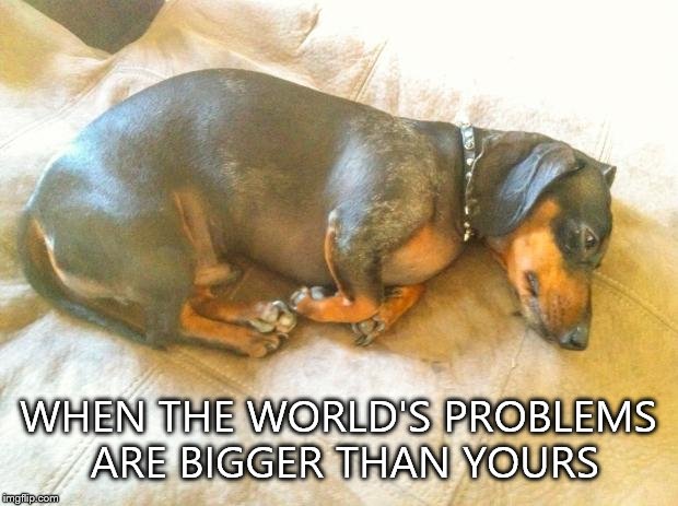 depressed dog | WHEN THE WORLD'S PROBLEMS ARE BIGGER THAN YOURS | image tagged in depressed dog | made w/ Imgflip meme maker