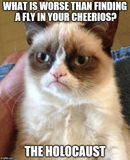 Grumpy Cat Meme | WHAT IS WORSE THAN FINDING A FLY IN YOUR CHEERIOS? THE HOLOCAUST | image tagged in memes,grumpy cat | made w/ Imgflip meme maker