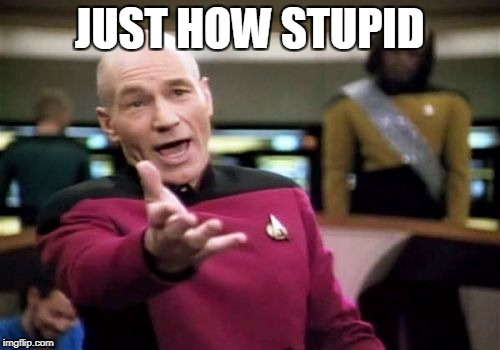 Picard Wtf Meme | JUST HOW STUPID | image tagged in memes,picard wtf | made w/ Imgflip meme maker