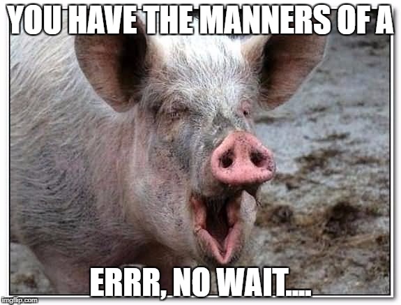 YOU HAVE THE MANNERS OF A ERRR, NO WAIT.... | made w/ Imgflip meme maker