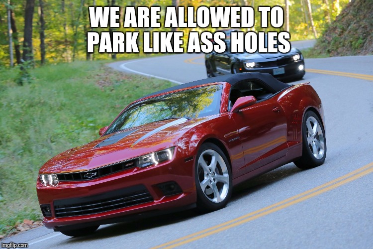 WE ARE ALLOWED TO PARK LIKE ASS HOLES | image tagged in ass hole | made w/ Imgflip meme maker