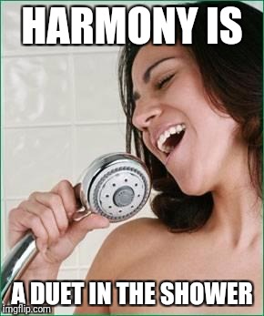 singing in the shower | HARMONY IS; A DUET IN THE SHOWER | image tagged in singing in the shower | made w/ Imgflip meme maker