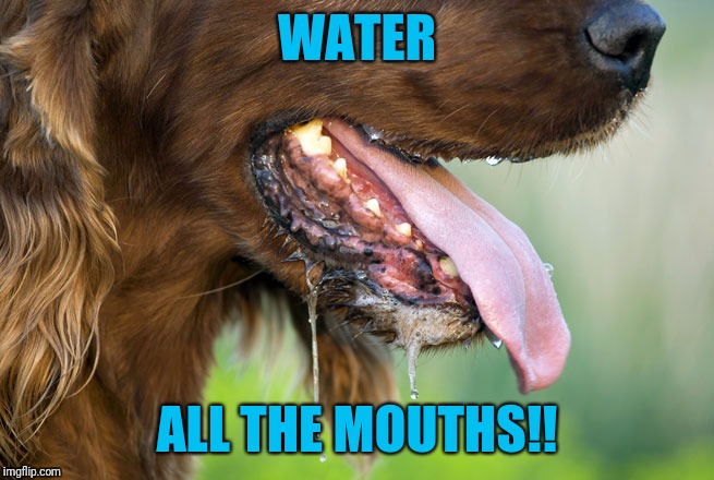 WATER ALL THE MOUTHS!! | made w/ Imgflip meme maker