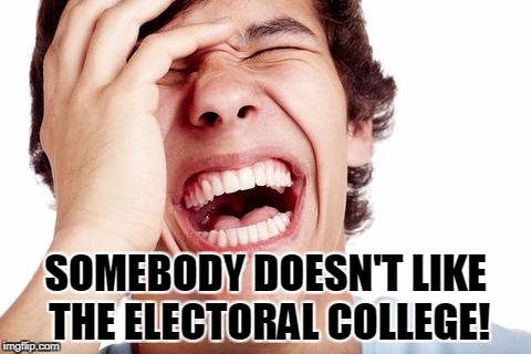 hilarious | SOMEBODY DOESN'T LIKE THE ELECTORAL COLLEGE! | image tagged in hilarious | made w/ Imgflip meme maker