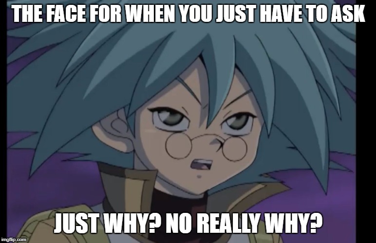 THE FACE FOR WHEN YOU JUST HAVE TO ASK; JUST WHY? NO REALLY WHY? | image tagged in just why | made w/ Imgflip meme maker
