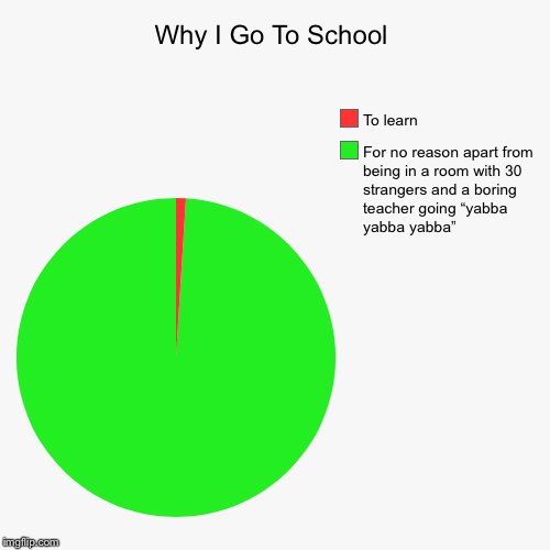 Why I Go To School | image tagged in funny,pie charts,why i go to school,school,hilarious | made w/ Imgflip chart maker