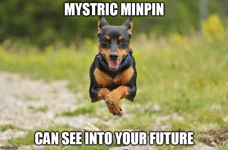 Mystic Min pin | MYSTRIC MINPIN; CAN SEE INTO YOUR FUTURE | image tagged in mystic min pin | made w/ Imgflip meme maker
