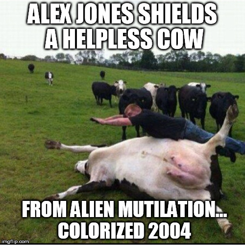 Alex Jones | ALEX JONES SHIELDS A HELPLESS COW; FROM ALIEN MUTILATION... COLORIZED 2004 | image tagged in alex jones,savior of animals | made w/ Imgflip meme maker