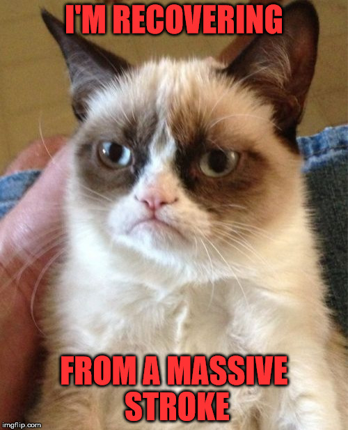Grumpy has had a stroke | I'M RECOVERING; FROM A MASSIVE STROKE | image tagged in memes,grumpy cat,stroke,recovery | made w/ Imgflip meme maker