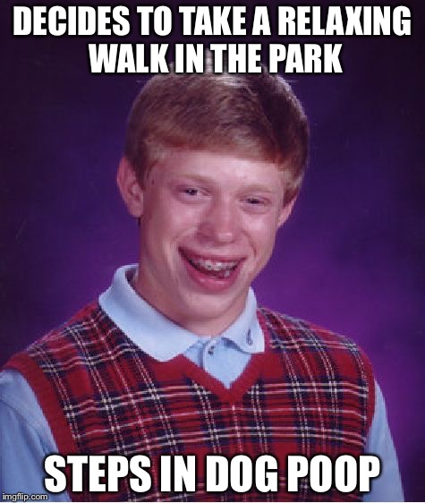 Bad Luck Brian Meme | DECIDES TO TAKE A RELAXING WALK IN THE PARK; STEPS IN DOG POOP | image tagged in memes,bad luck brian | made w/ Imgflip meme maker