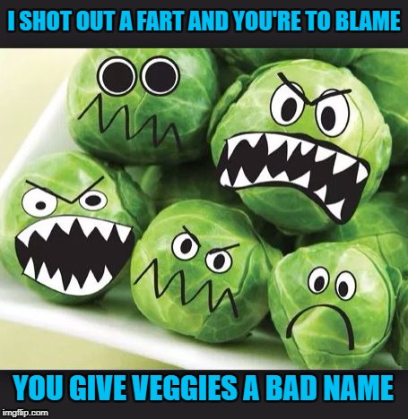 Bon Jovi: Not A Fan Of Brussel Sprouts | I SHOT OUT A FART AND YOU'RE TO BLAME; YOU GIVE VEGGIES A BAD NAME | image tagged in memes,meme,brussel sprouts,bon jovi,fart,farts | made w/ Imgflip meme maker