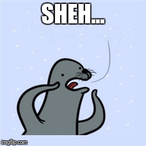 gay seal | SHEH... | image tagged in gay seal | made w/ Imgflip meme maker
