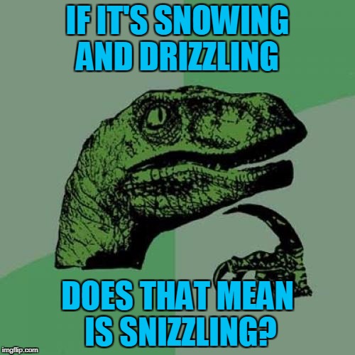 Should we ask Snoop Dogg | IF IT'S SNOWING AND DRIZZLING; DOES THAT MEAN IS SNIZZLING? | image tagged in memes,philosoraptor,americanpenguin | made w/ Imgflip meme maker