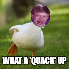 WHAT A 'QUACK' UP | made w/ Imgflip meme maker
